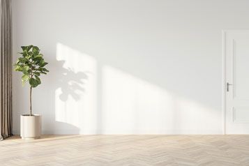 Wann vertragen Zimmerpflanzen den Umzug am besten?